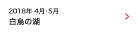 2018年 4月・5月｜白鳥の湖