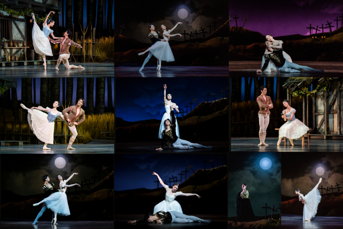 舞台写真見本 (2).png