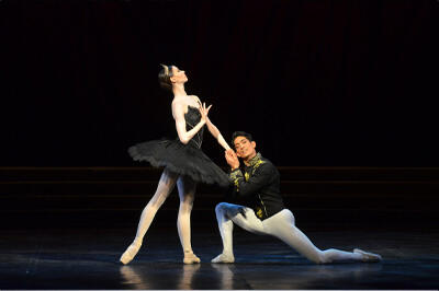 8.Swan Lake.jpg