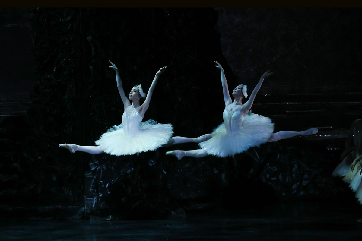 『白鳥の湖』大きい2羽