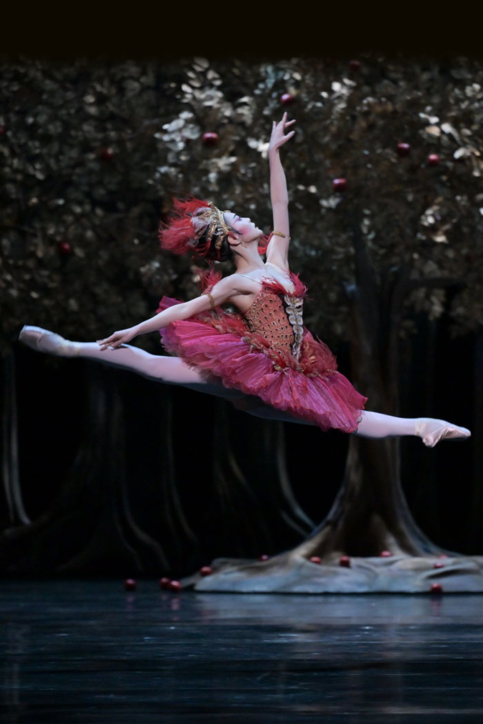 『火の鳥』火の鳥 『火の鳥』火の鳥