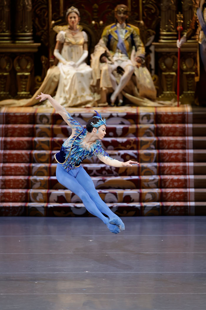 『眠れる森の美女』青い鳥 『眠れる森の美女』青い鳥