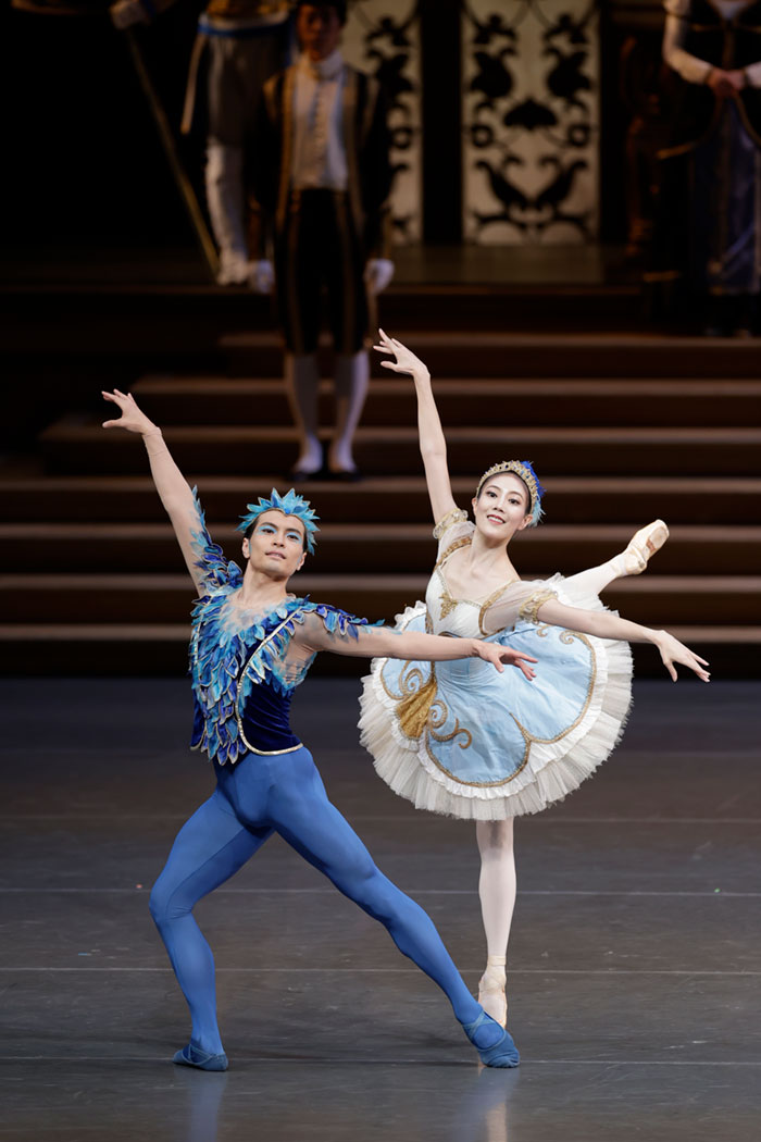 『眠れる森の美女』青い鳥 『眠れる森の美女』青い鳥