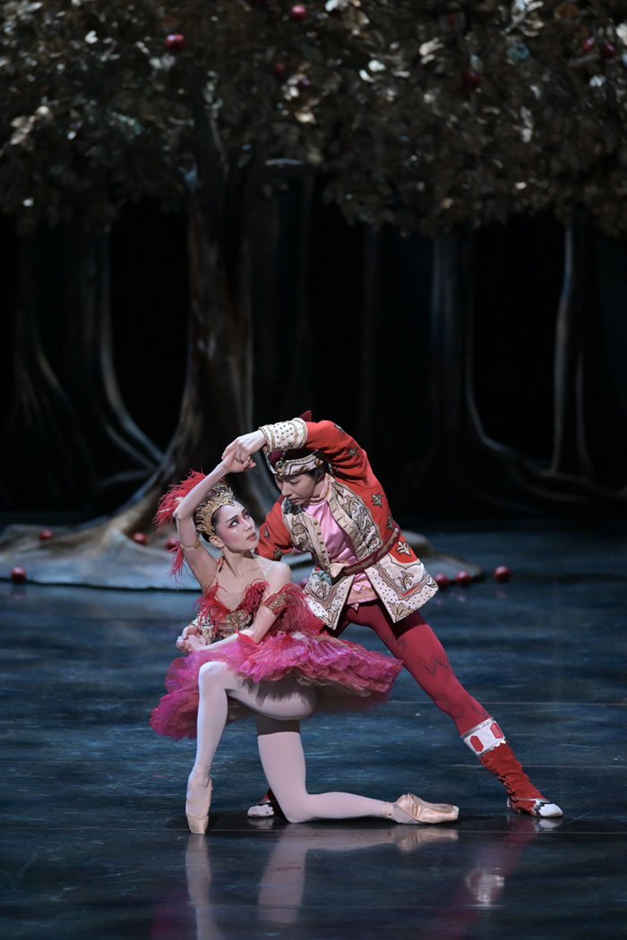 『火の鳥』イワン王子