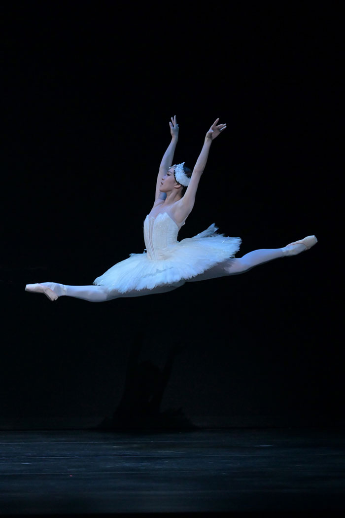 『白鳥の湖』大きい2羽