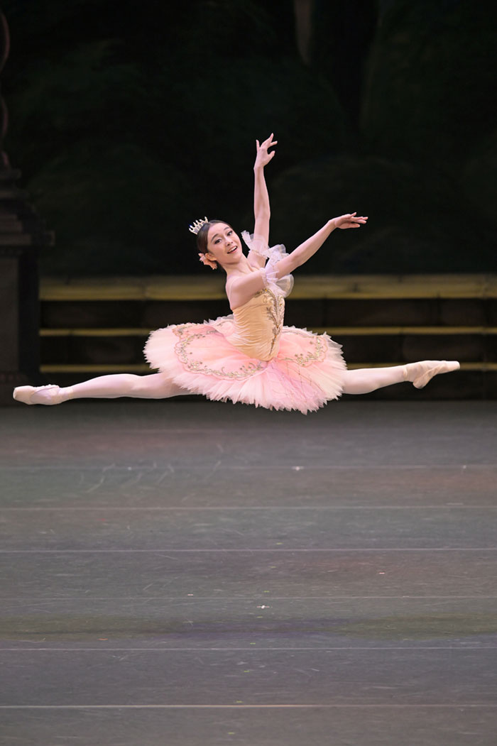 『ドン·キホーテ』第1ヴァリエーション