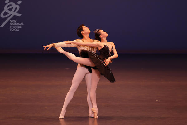 rswanMR1_3391 のコピー.jpg