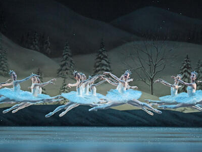 THE NATIONAL BALLET OF JAPAN