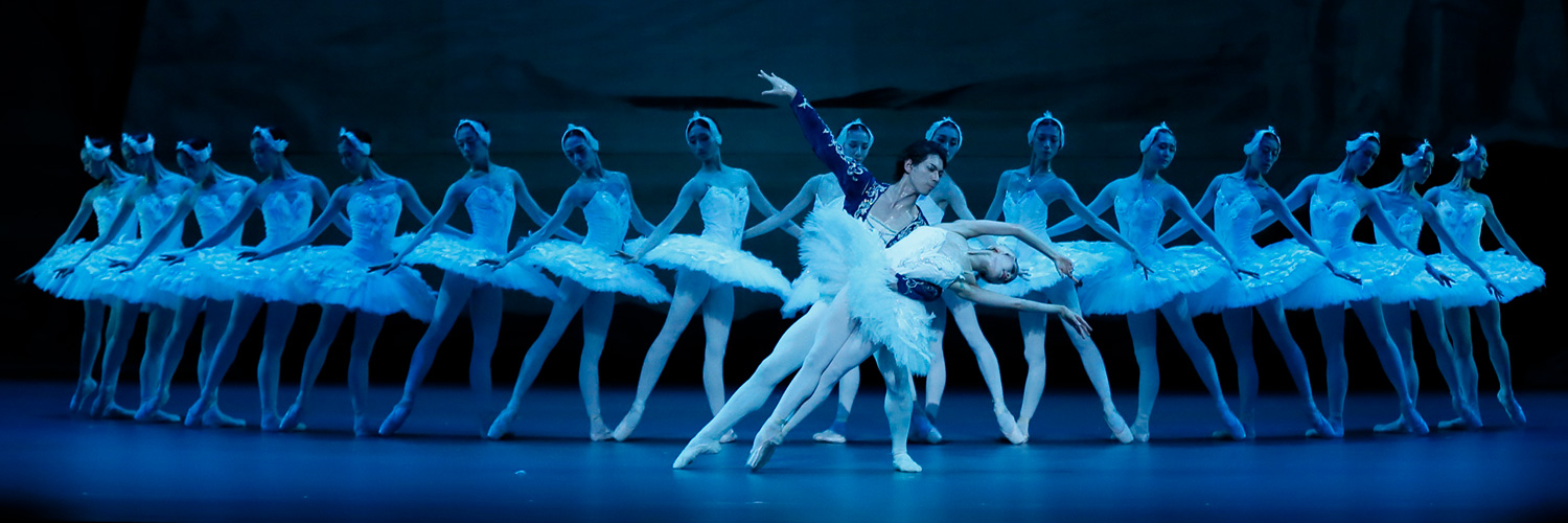 Ballet for Children Swan Lake