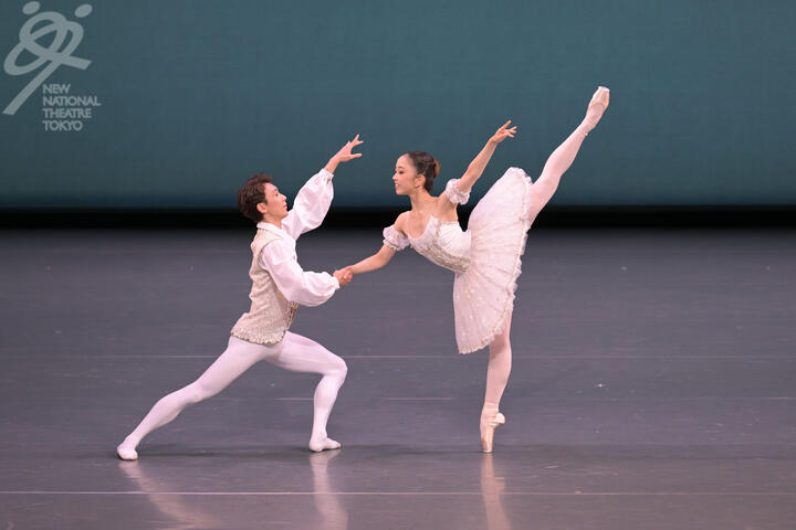 r⑩コッペリア★No_2661 のコピー.jpg