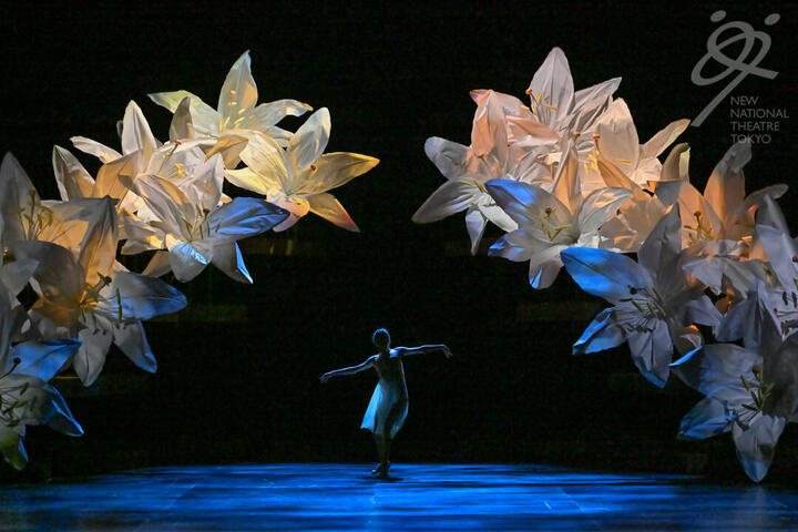 10_251202_BO_0130 【_ABE2445】.jpg