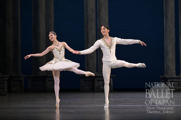 theme sibayama ri2.jpg