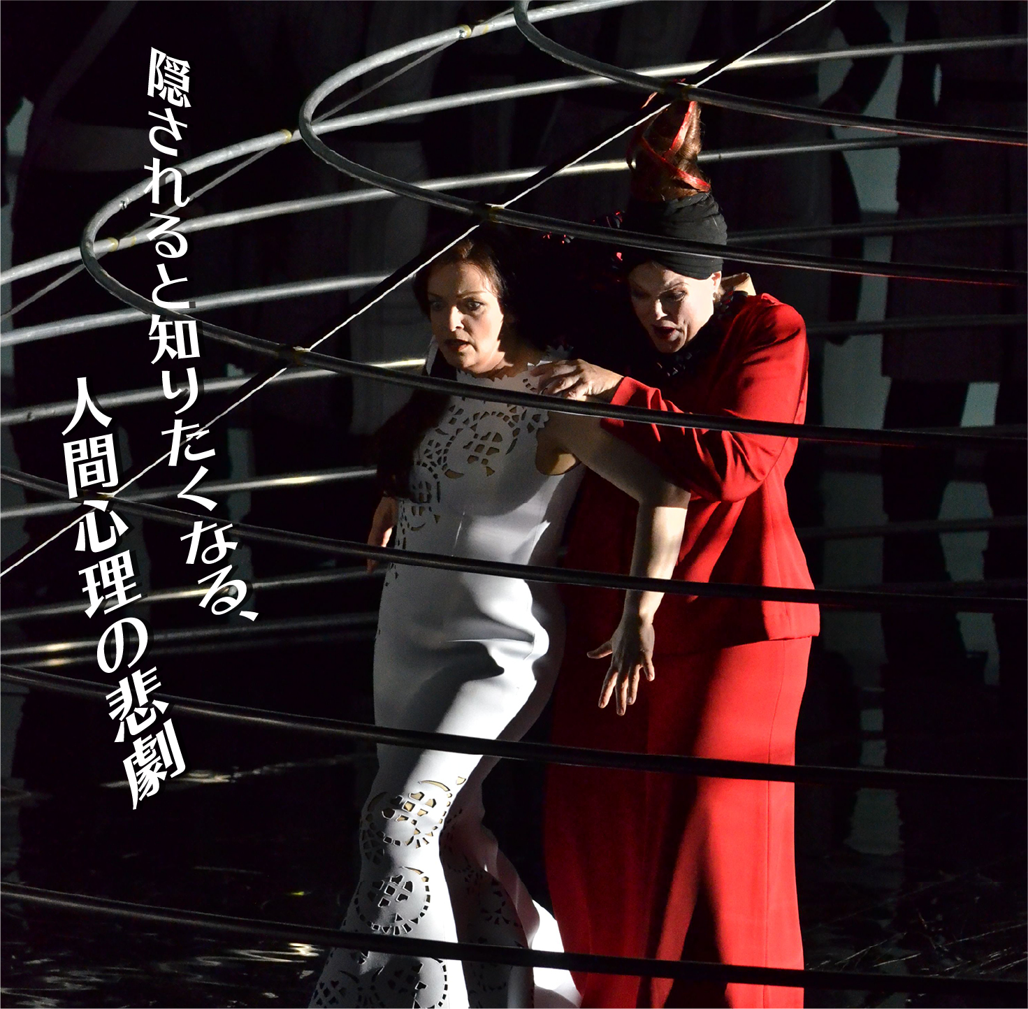 隠されると知りたくなる、人間心理の悲劇